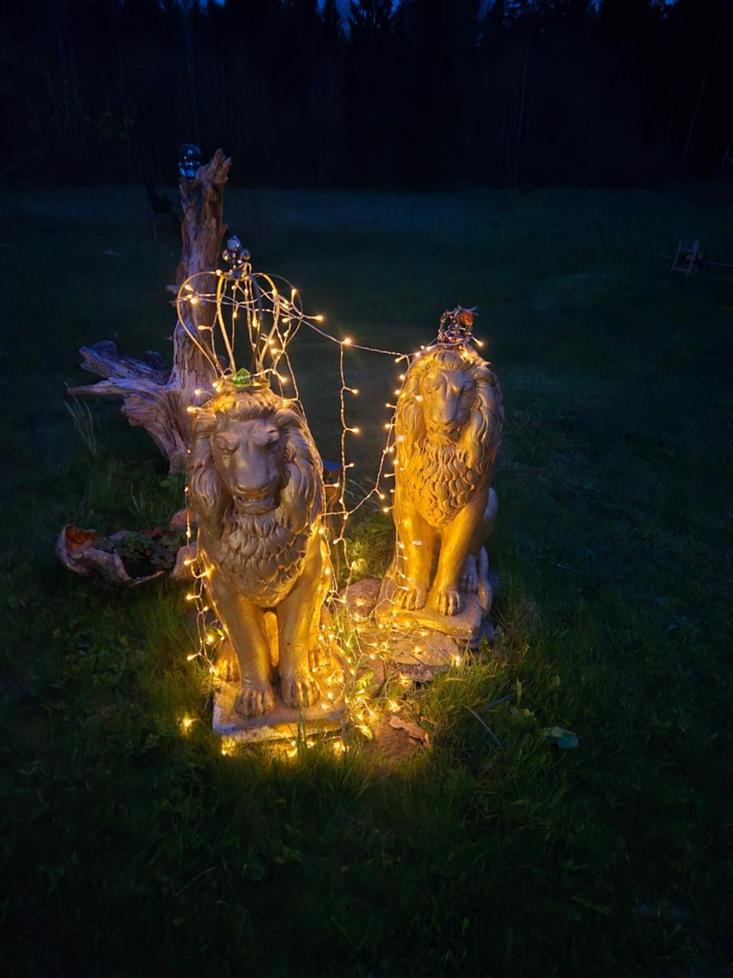 Gold Sun Zelta Saule Villa Matkule Екстериор снимка